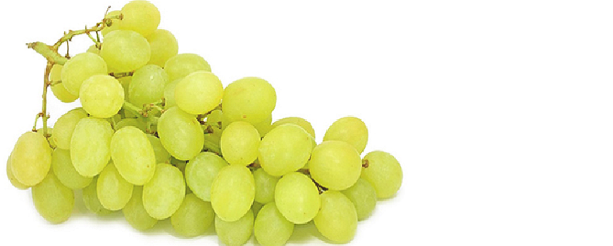 Vindruekerneolie – hvor naturligt er det lige? - Omhandler Autentisk mad, Fedt