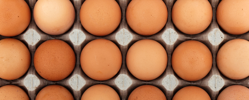 Spis aldrig mere end 30 æg om dagen. - Omhandler Spisekammeret