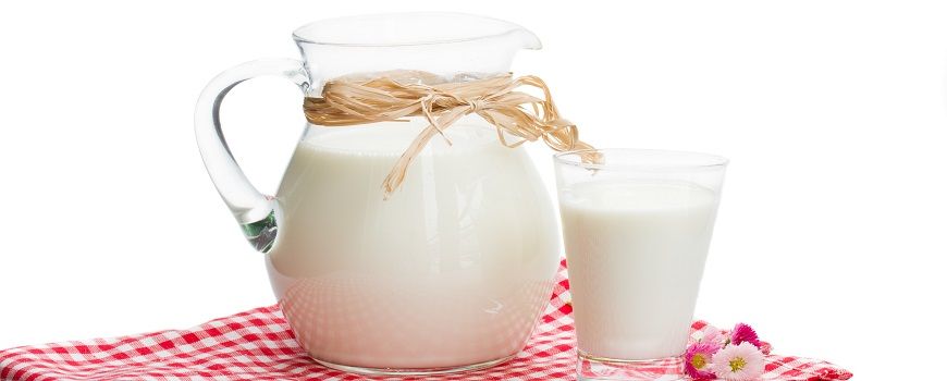 Urmælk – nok den mest autentiske komælk, du kan få. - Omhandler Autentisk mad, Væske