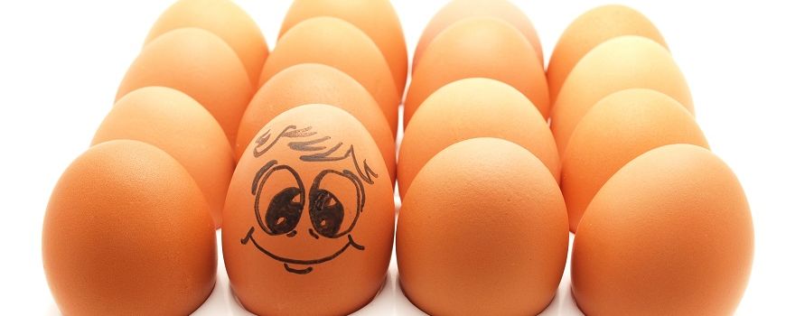 Æg er sunde – uanset mediernes hysteri over et nyt studie om det modsatte. - Omhandler Autentisk mad, Fedt